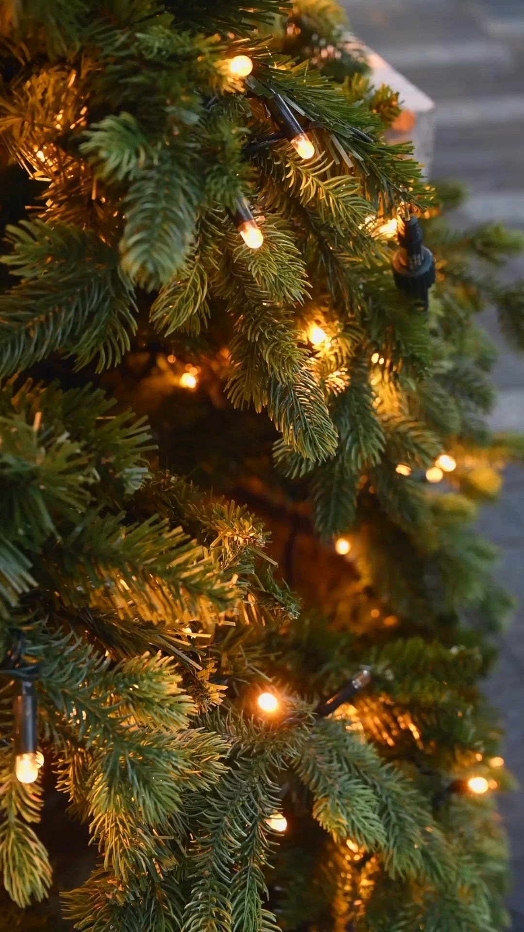 🎄VIRAL HOLIDAY DECOR AT TARGET🎄

Snag these cozy and cute holiday decor while it’s hot at Target! 



#LTKHome #LTKHoliday #LTKSeasonal