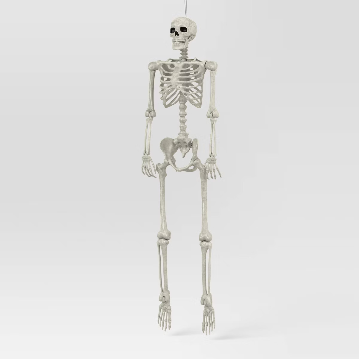 60" Poseable Bone Skeleton Halloween Decorative Prop Off-White - Hyde and EEK! Boutique™ | Target