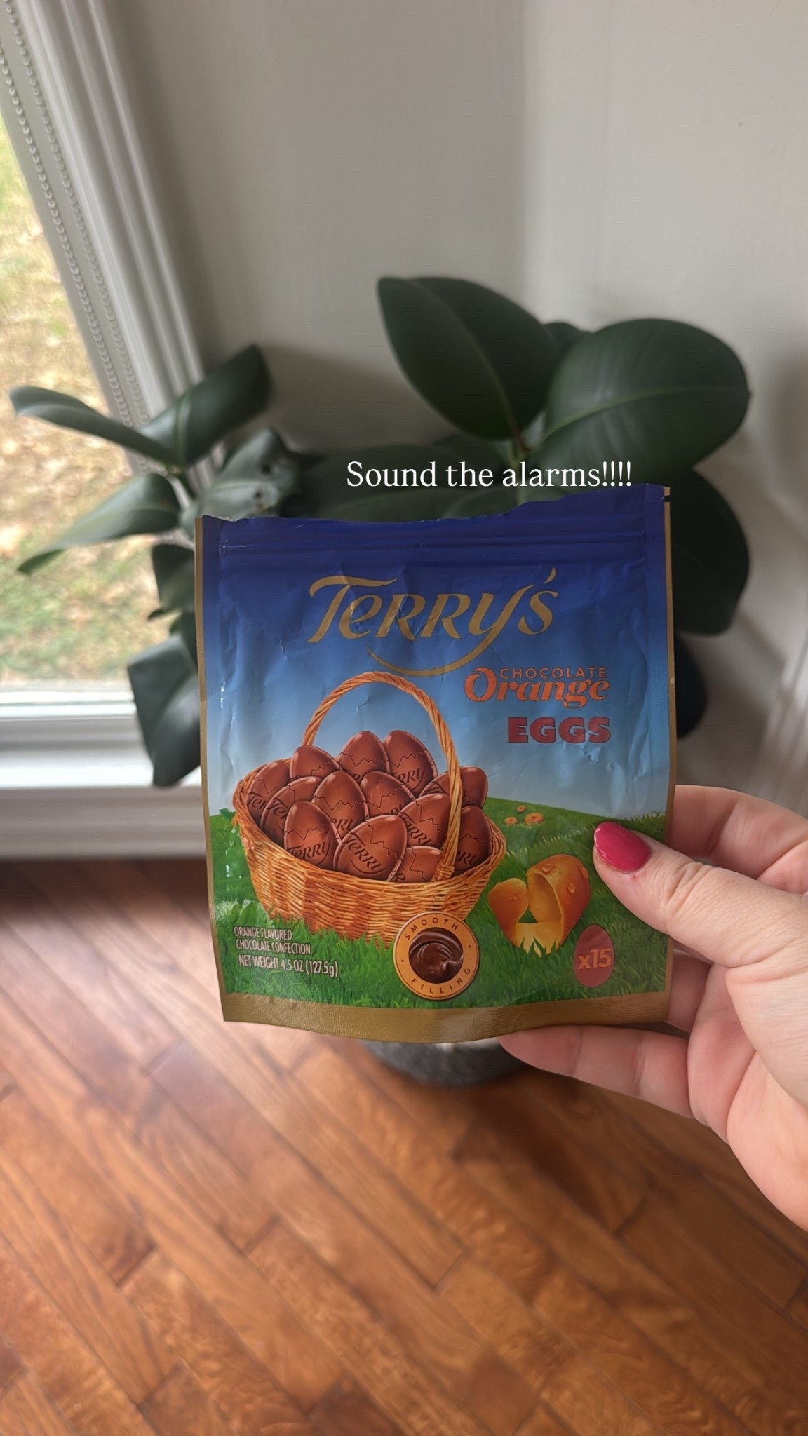 Sound the alarms!!!! Chocolate oranges for Easter 

#LTKHome #LTKSeasonal #LTKfoodie