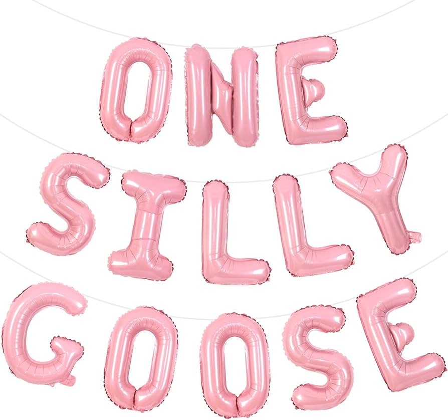 Goose First Birthday Decorations for Girl Pink One Silly Goose Balloon Banner Silly Goose Birthda... | Amazon (US)