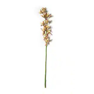 Rust Red Boat Orchid Stem by Ashland® | Michaels | Michaels Stores