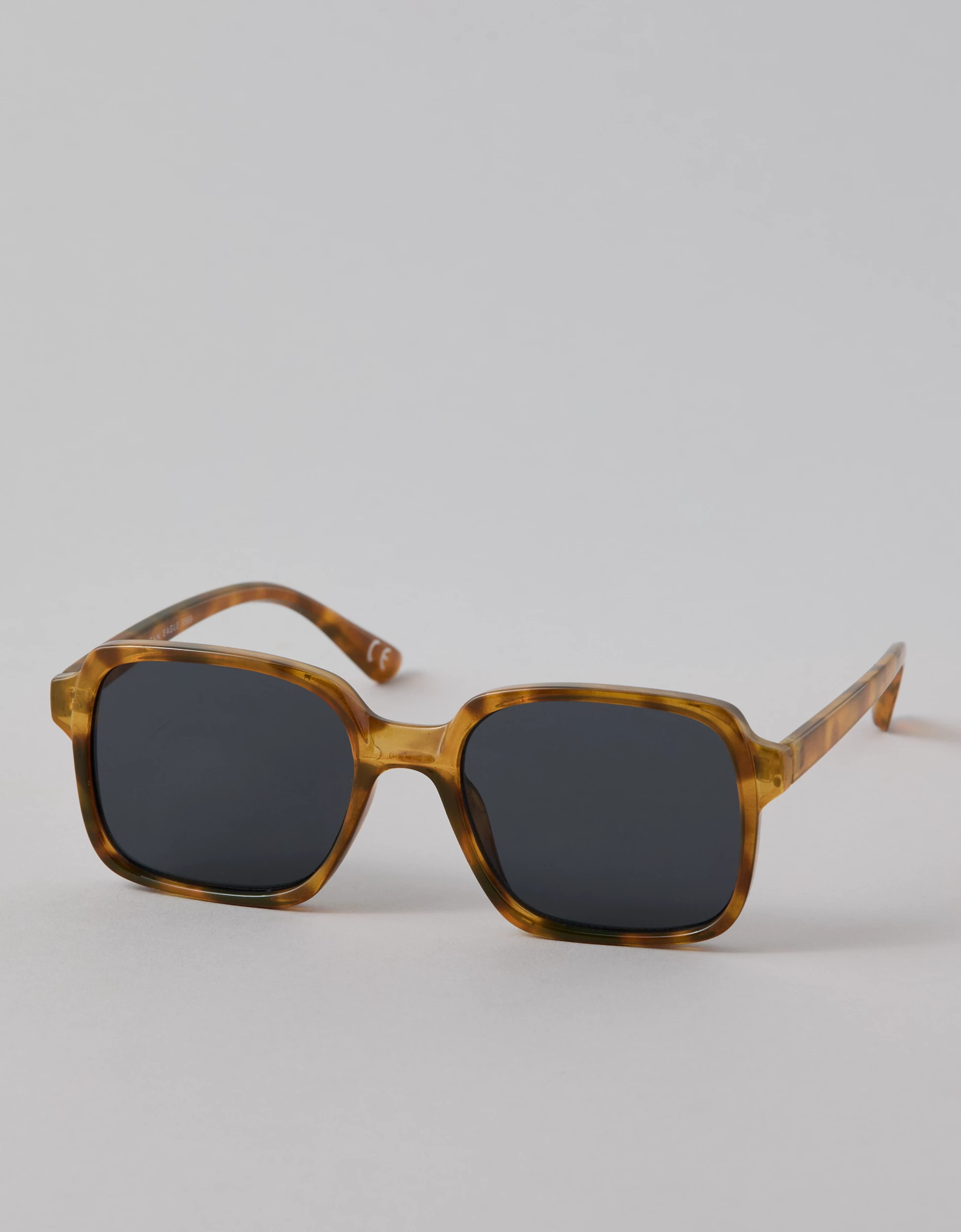 AE Oversized Sunglasses | American Eagle Outfitters (US & CA)