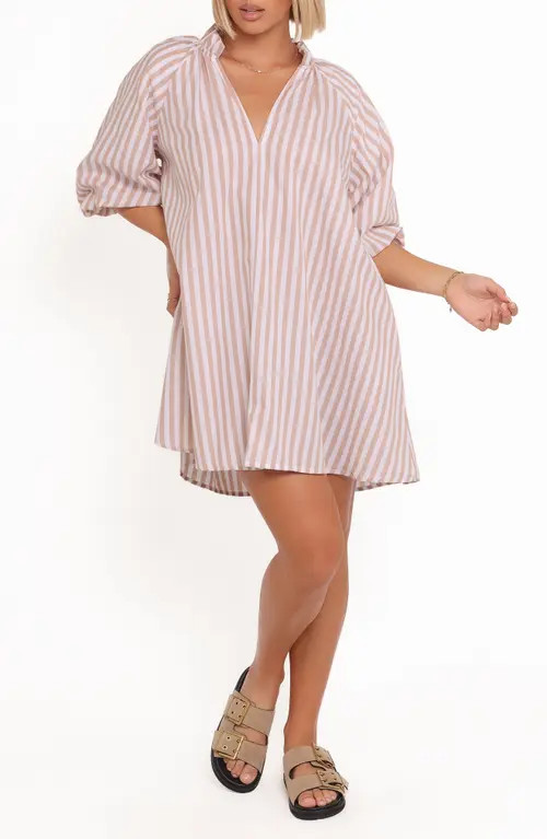 Petal & Pup Doran Stripe Cotton Minidress in Beige White at Nordstrom, Size X-Large | Nordstrom