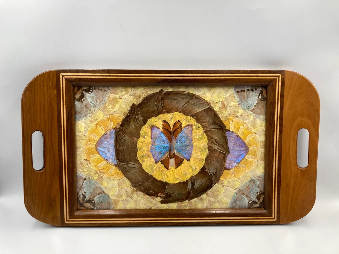 RARE Brazilian Inlaid Butterfly Tray by Daniel Teixeira, Vintage Tray - Etsy | Etsy (US)