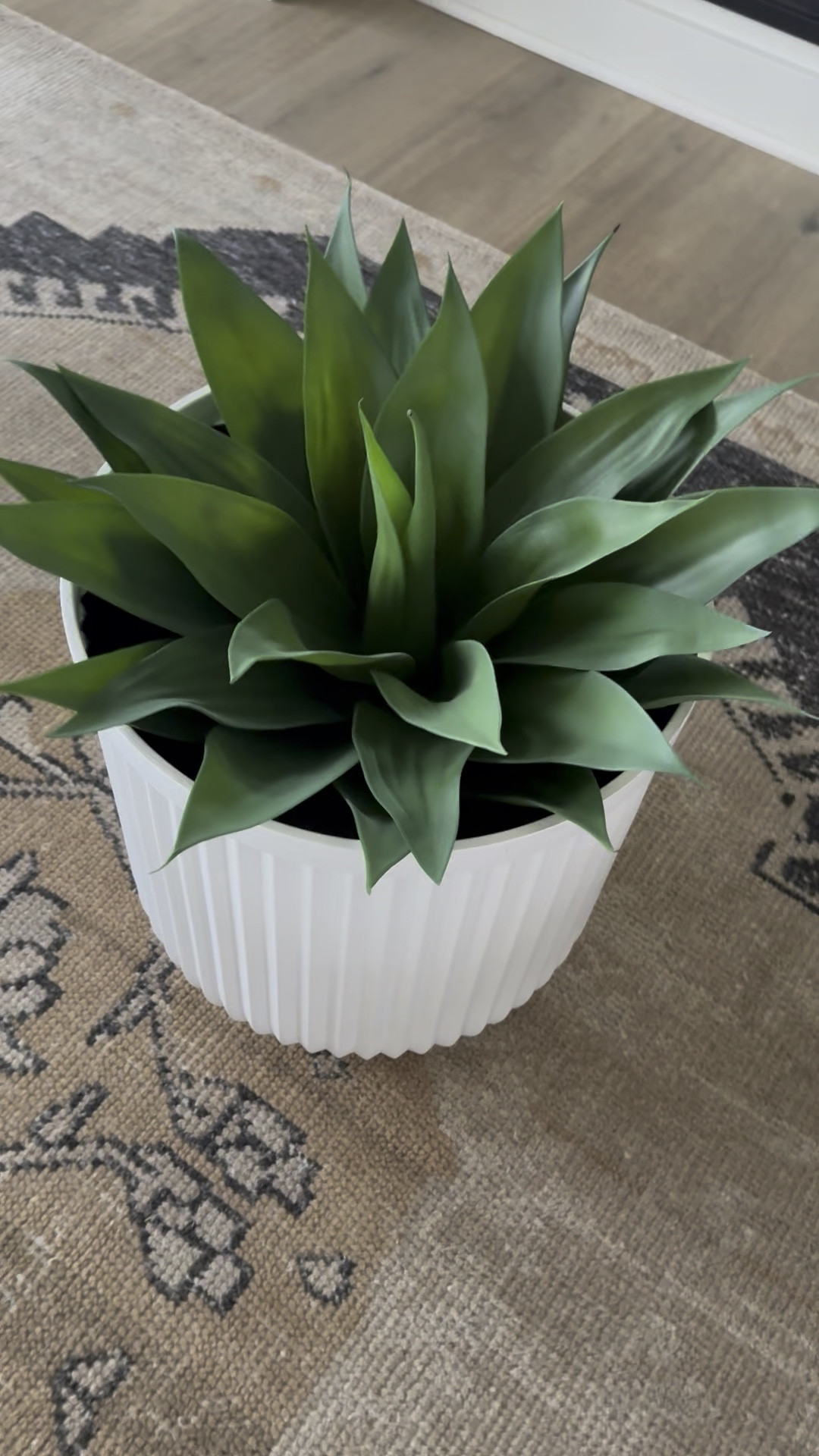 Favorite this post in the app to receive a notification on this planter for restock! Succulents look real! Mine are the 28” 

#LTKFindsUnder50 #LTKHome #LTKStyleTip
