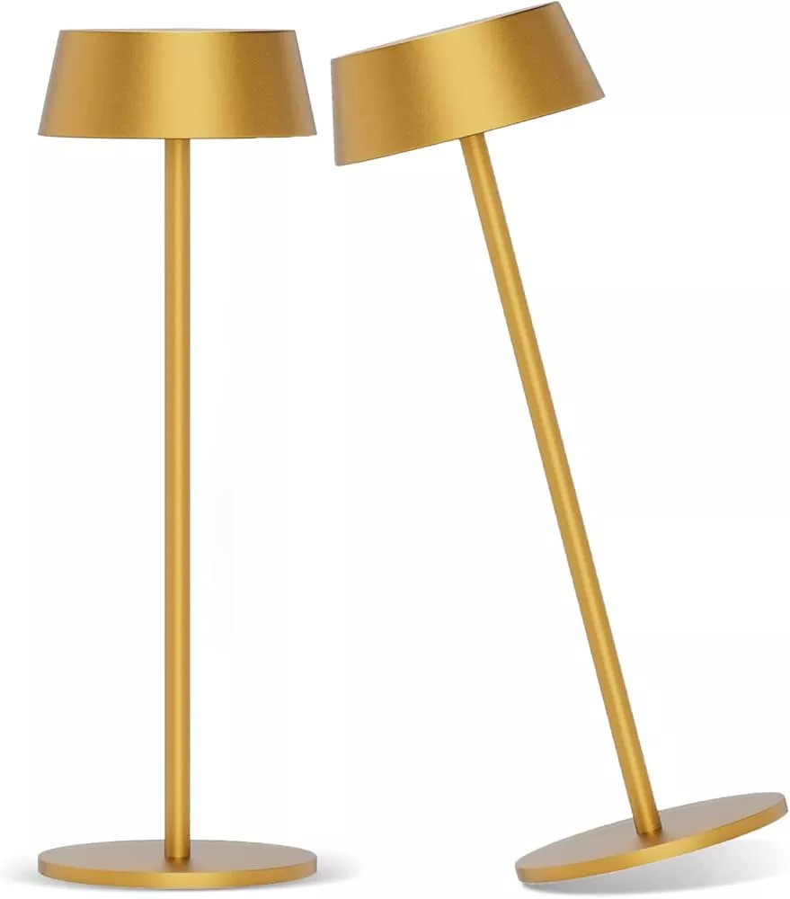 KDG 2 Pack Cordless Table Lamp,Portable LED Desk Lamp, 5000mAh