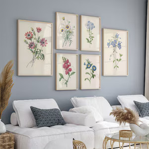 Vintage Flower Prints,printable Minimalist Botanical Art,botanical Print Set of 6,botanical Galle... | Etsy (US)