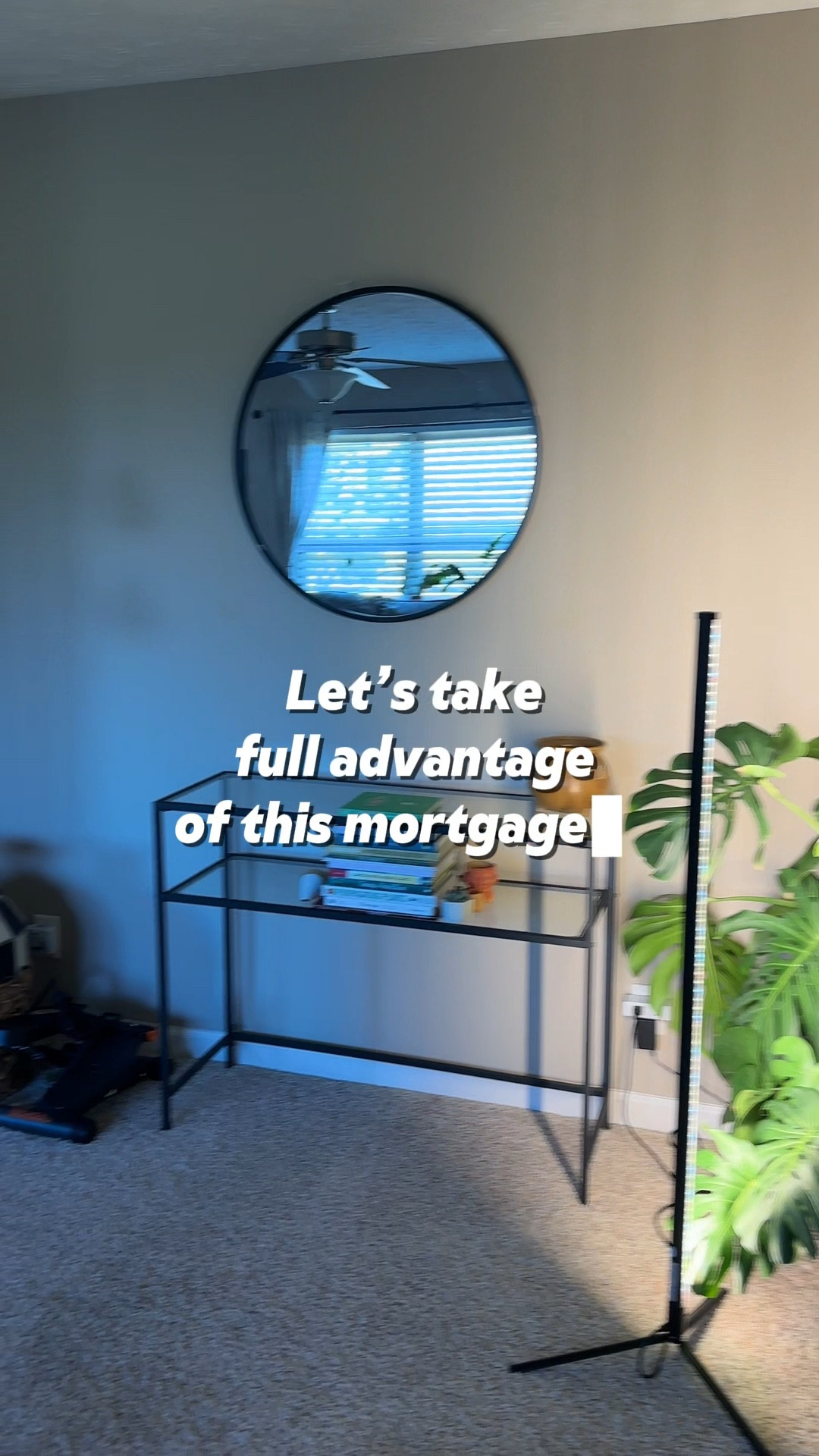 Creating a planty and cozy home 🪴

#LTKHome #LTKStyleTip