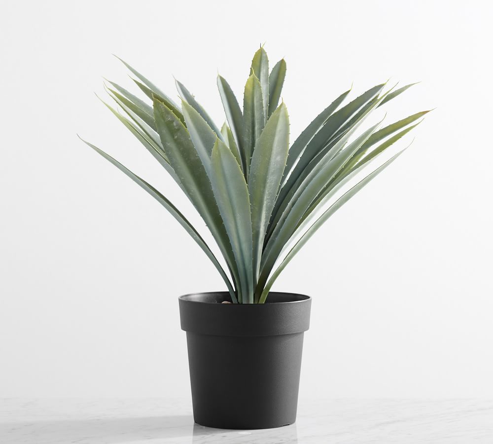 Faux Potted Faded Striped Agave Plant | Pottery Barn (US)