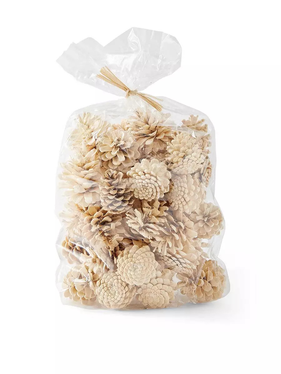 Decorative Pinecones | Serena and Lily