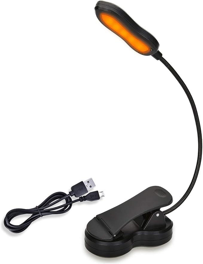 Amber Book Light, Rechargeable Blue Light Blocking Reading Light, Clip on Book Lamp, 3 Brightness... | Amazon (US)