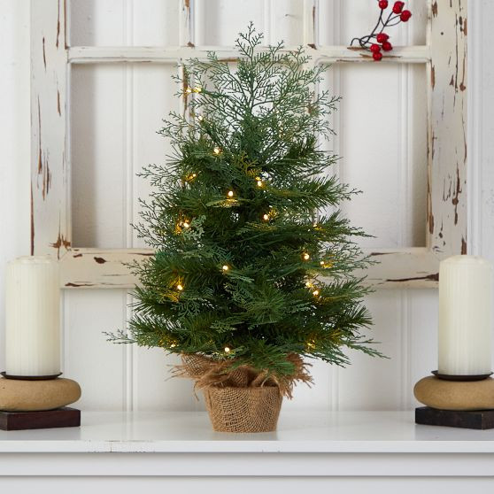 Christmas Tree with Burlap Base (2 Ft.) | Pottery Barn Teen