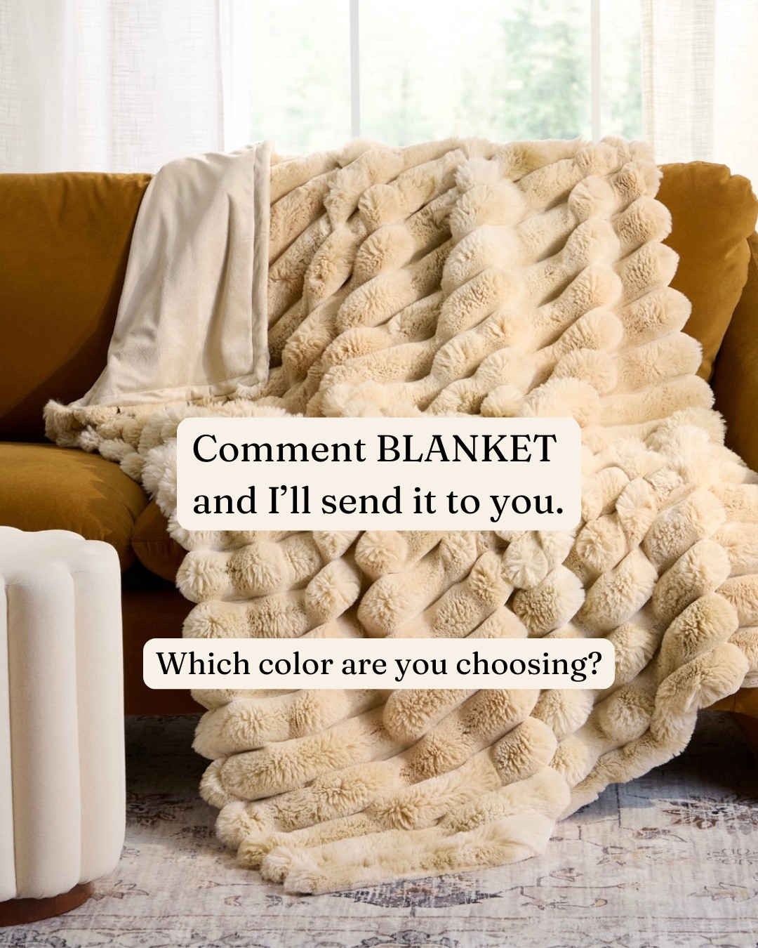 I bought 6 of these last season. SIX. 😂 Two for me, four for gifts, and now Walmart has them back in the prettiest fall colors.

I grabbed the creamy neutral one this time and it is still just as good. Super plush, actually big enough to curl up under, and it looks way more expensive than it is.

One of my favorite cozy Walmart finds and such a good gift idea too.

Tap to shop ↓

#LTKselfcare #LTKSeasonal #LTKHome