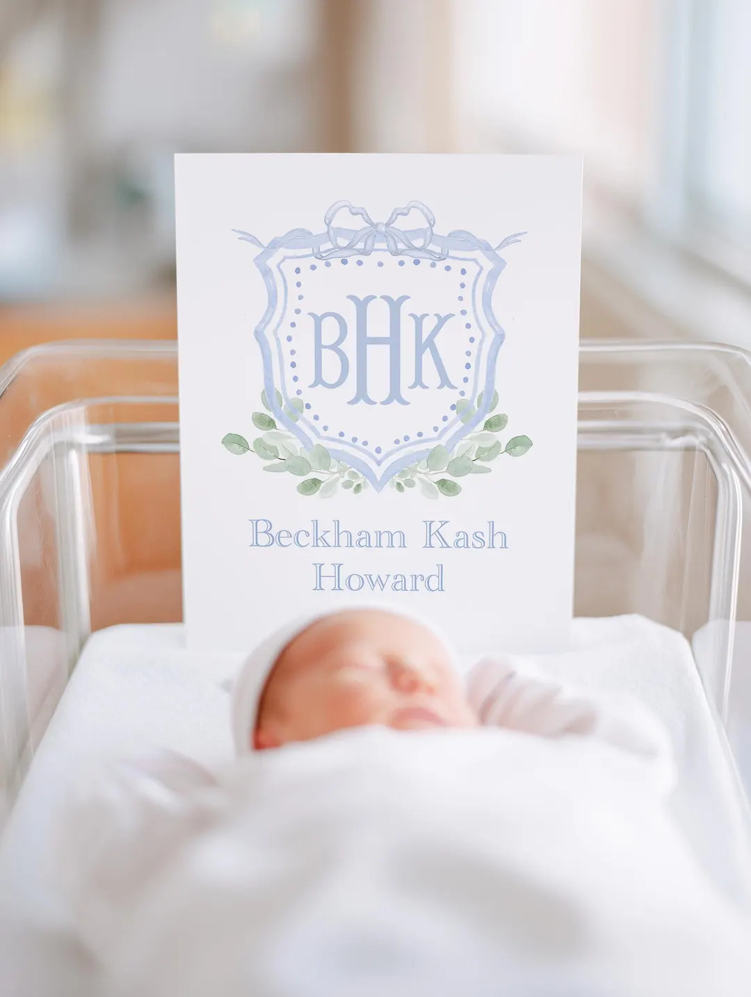 Watercolor Newborn Bassinet Sign, Custom Monogram Hospital Baby Sign, Blue Name Crest, Welcome Ba... | Etsy (US)