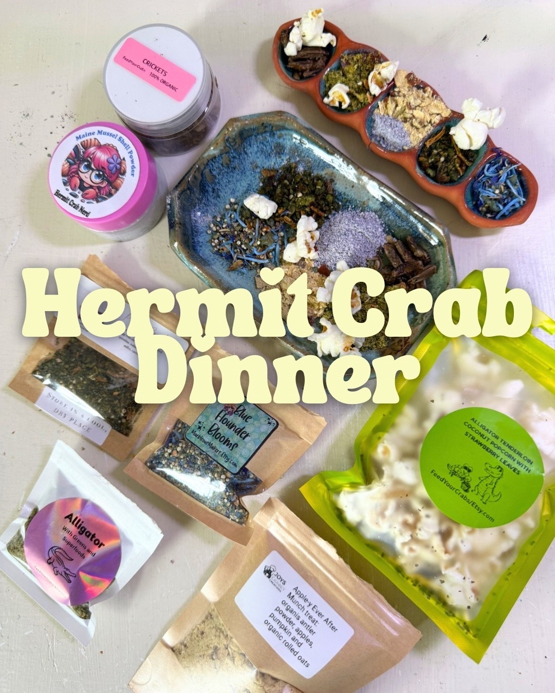 Hermit crab dinner