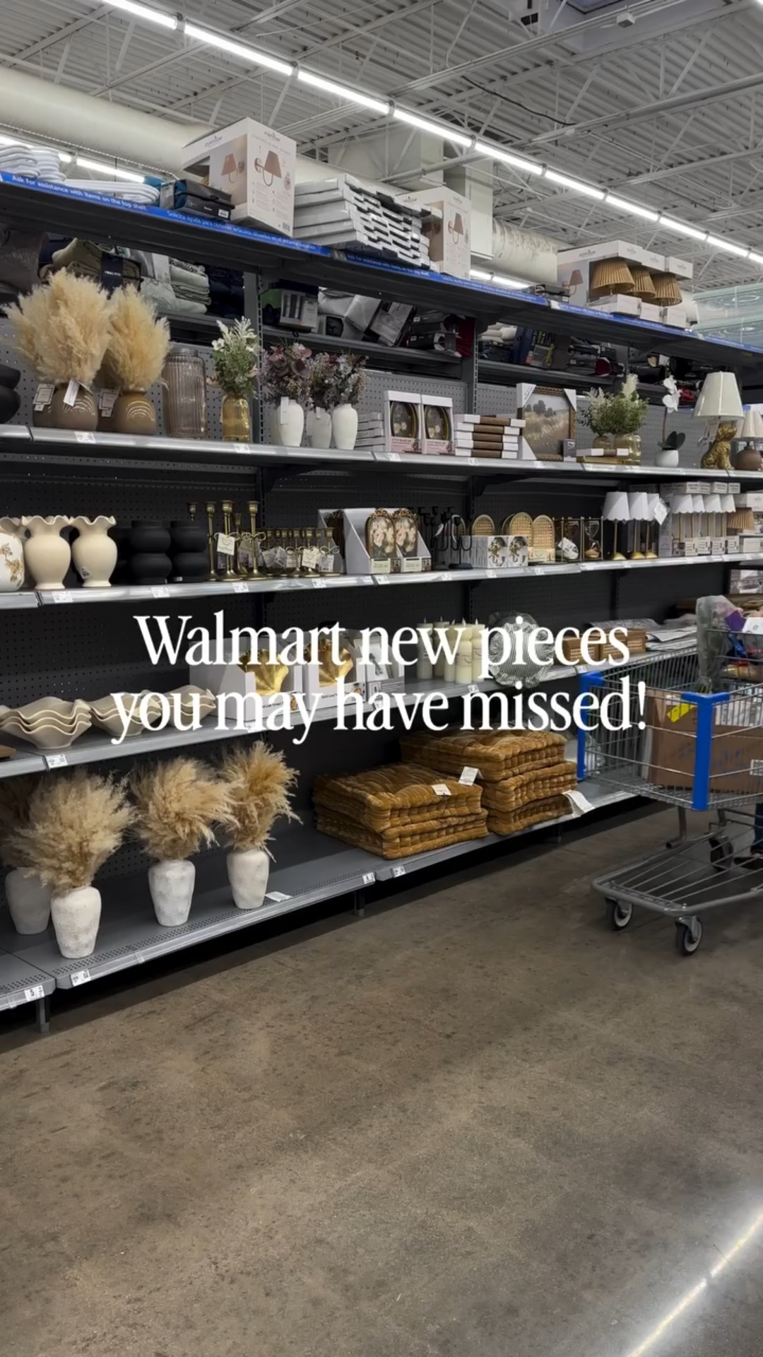 pov: you didn’t know walmart had these 🛒 

I almost missed these new home finds and now I want them all! These are proof that affordable decor can still look elevated and intentional.

#walmartdecor #homeinspo #budgethome #homedecorfinds #everydayhome

#LTKHome #LTKmomlife