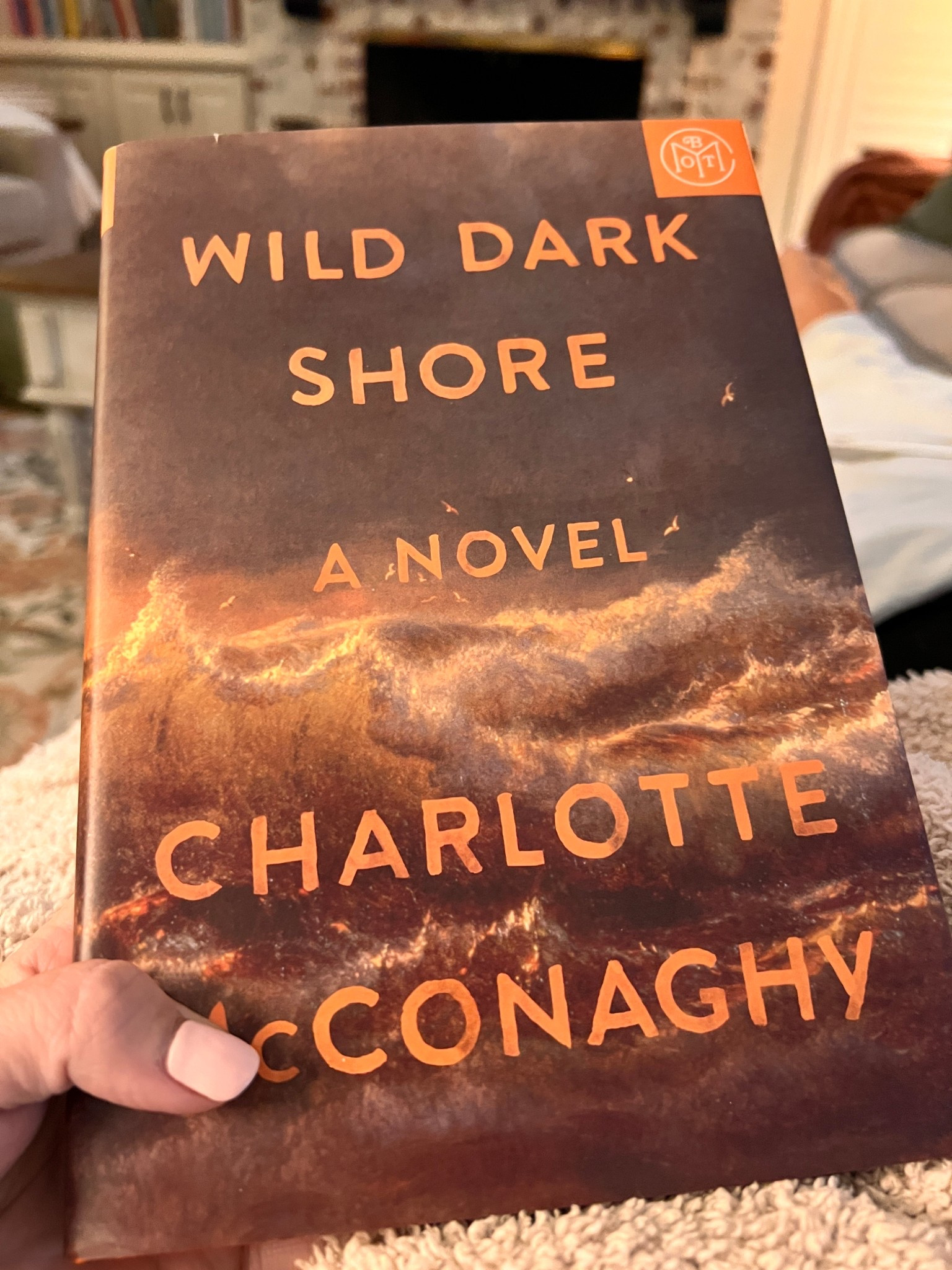 Book 17 of 2025
