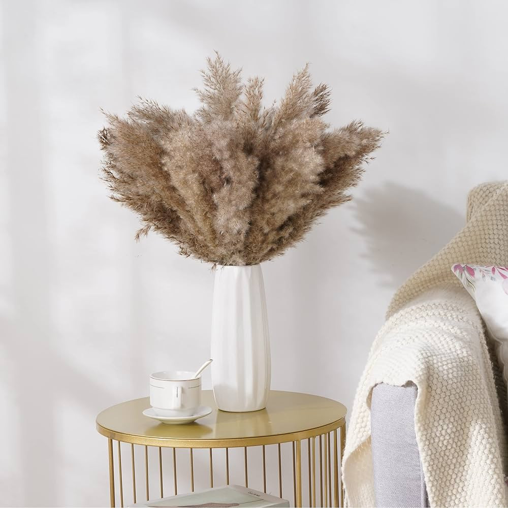 Alishomtll 20 Pcs Dried Pampas Grass Decor, Natural Pampas Grass Boho Decor for Vase, Fluffy Pomp... | Amazon (US)