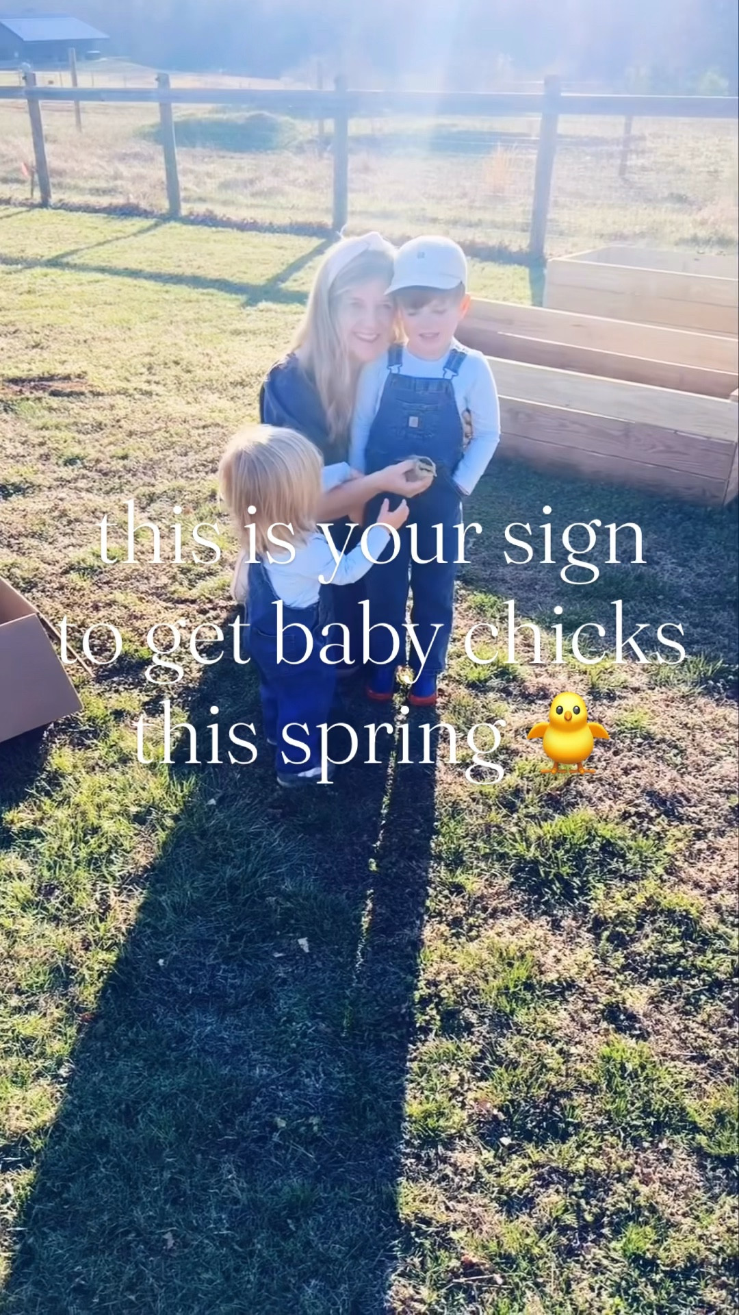 I promise you won’t regret it 🤭🐥🌷🐣🌳🐓🌼🧺🥚 And yes, we have been planning to get a few more breeds 🐤 to try and eventually get the rainbow 🌈 carton of eggs 🥚 - how cool would that be?! 🧺 #babiesandchicks #babychicksseason #cutenessoverload #springchicks #babychicksarethebest 

#LTKKids #LTKmomlife #LTKBaby