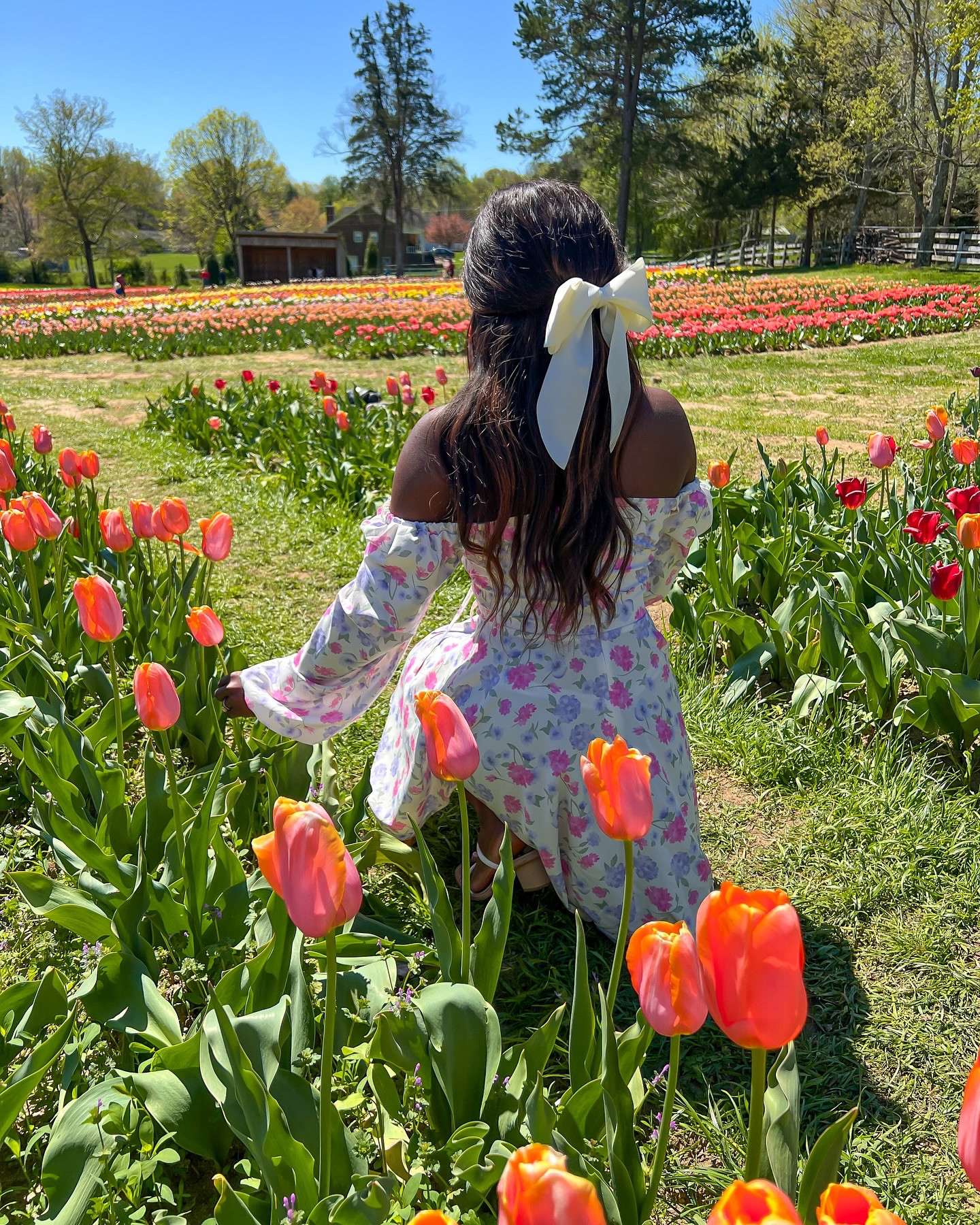 pov: you’re scrolling through my Pinterest board on the first day of spring 🌷

-
-
-
-
spring inspo, spring trends, spring nails, charlotte in spring, Pinterest aesthetic, spring mood board