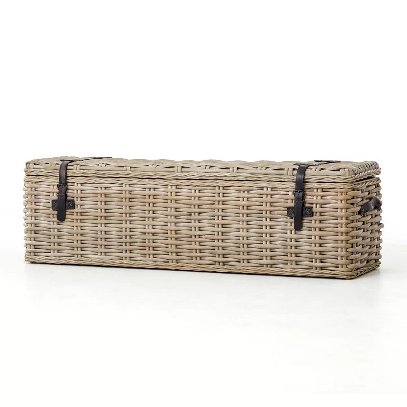 Wicker Trunk | Wayfair North America