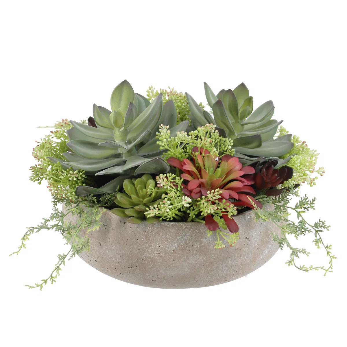 PLANT 14IN Round Succulent Arrangement, Natural Pot | Perigold