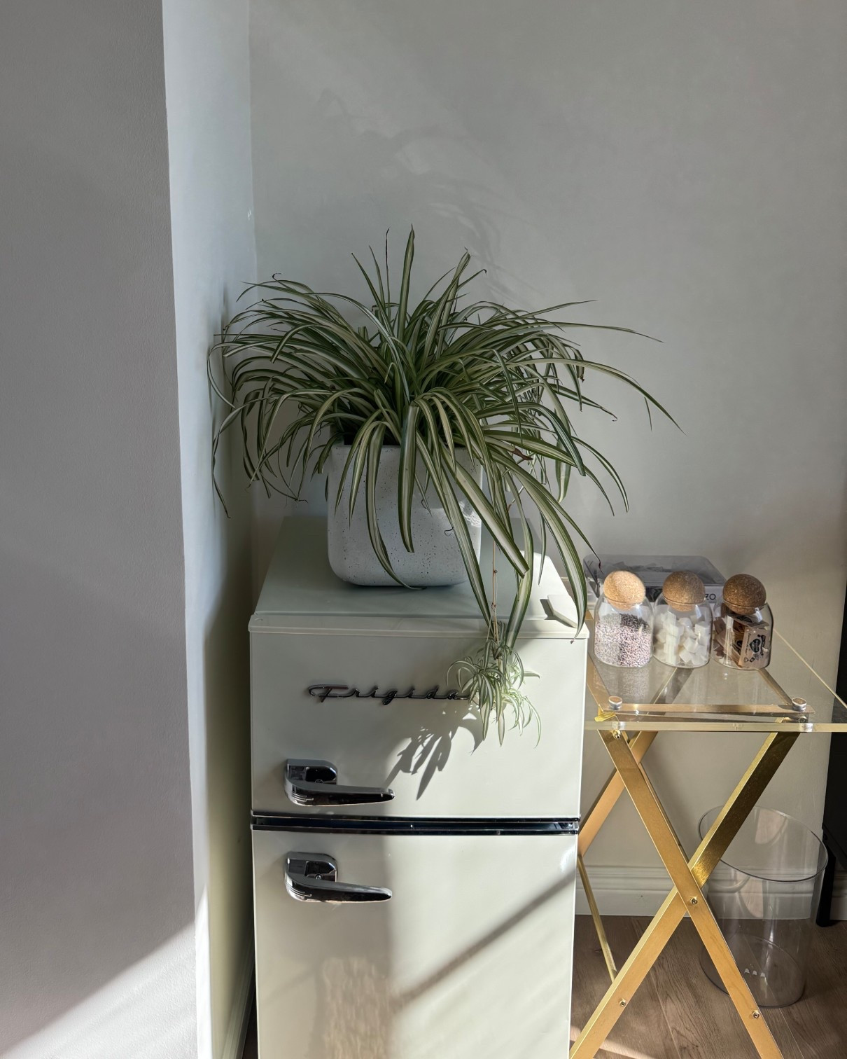 our little kitchenette 🫶🏼

#LTKHome #LTKParties #LTKSeasonal