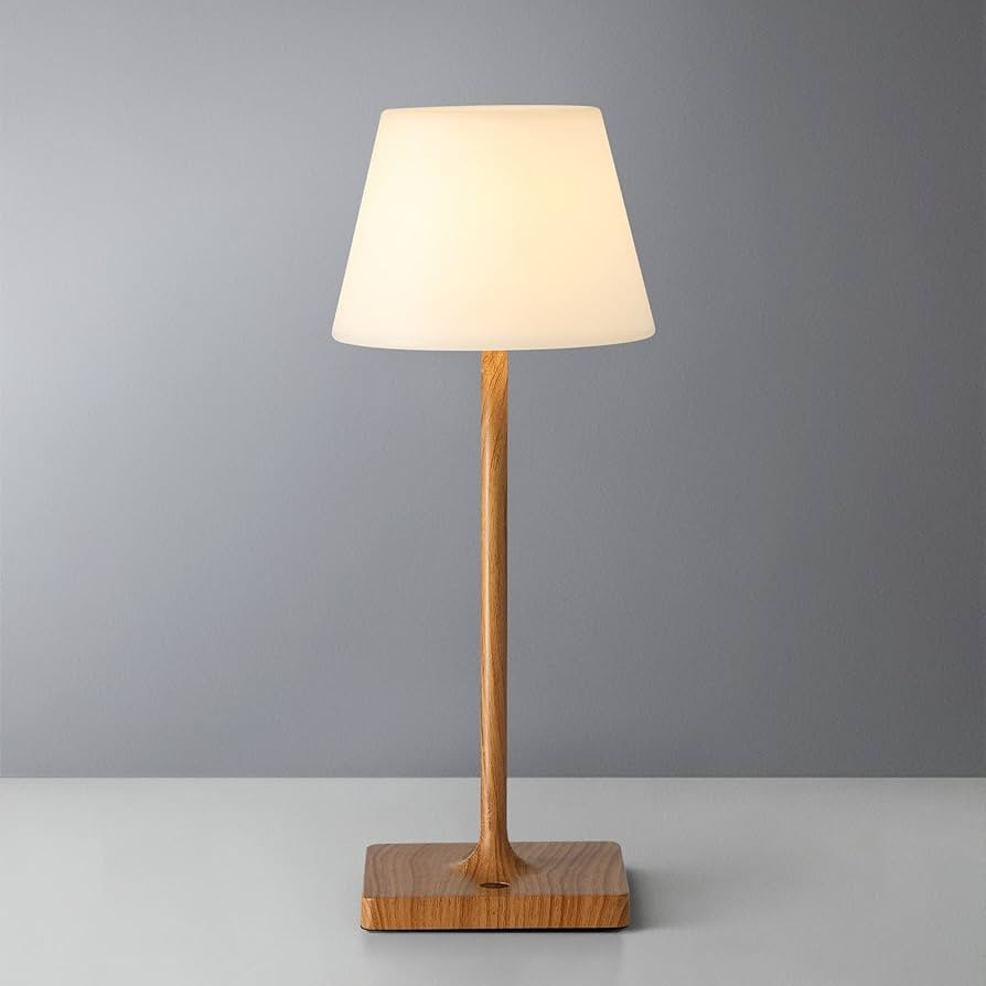 Outdoor Cordless Portable Table Lamp,5000mAh Rechargeable Battery Operated Dimming LED Desk Lamp,... | Amazon (US)