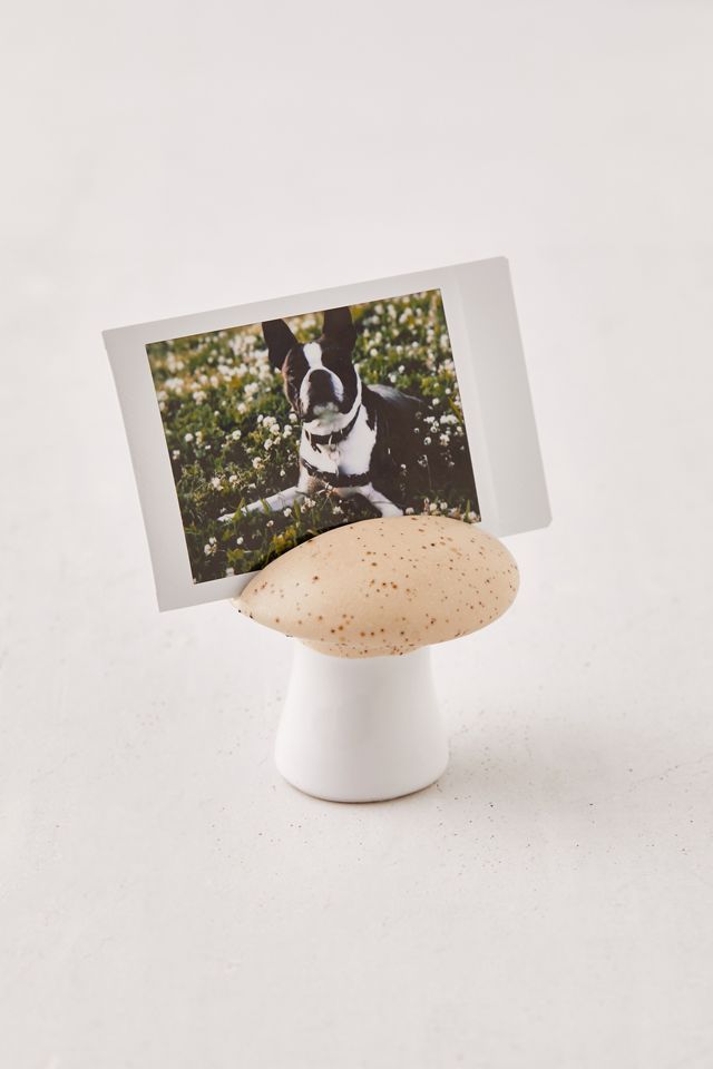 Mushroom Photo Stand | Urban Outfitters (US and RoW)