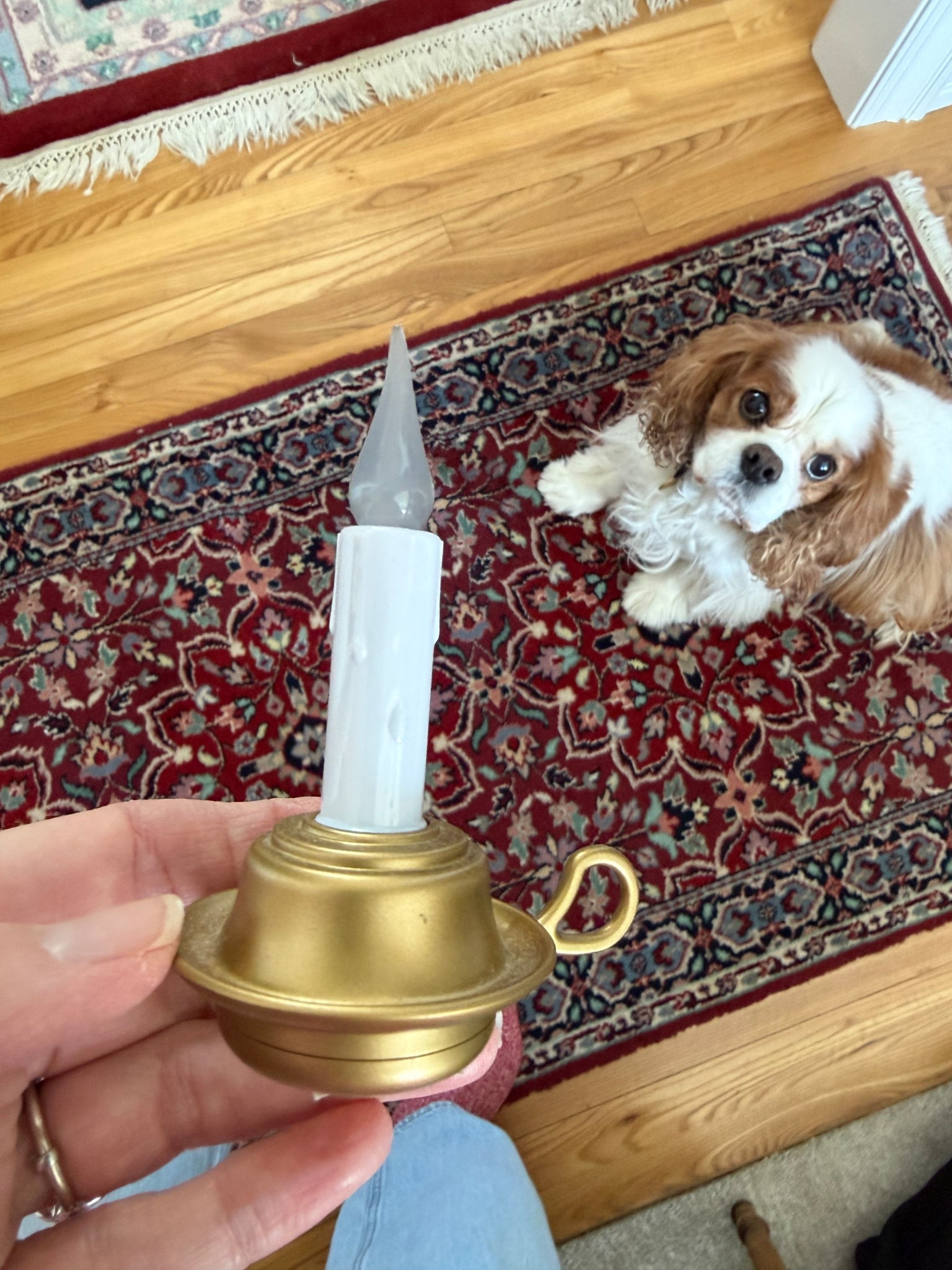 I love the layered look of this little plug in light

#LTKValentine #LTKdayinmylife #LTKHome