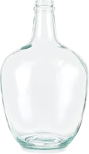 Glass Jug Vase 10" Tall, Clear Flower Vase, Decorative Bottle Vase for Dining Room, Bedroom, Bath... | Amazon (US)