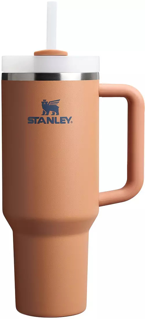 Stanley 40 oz. Quencher H2.0 FlowState Tumbler | DICK'S Sporting Goods