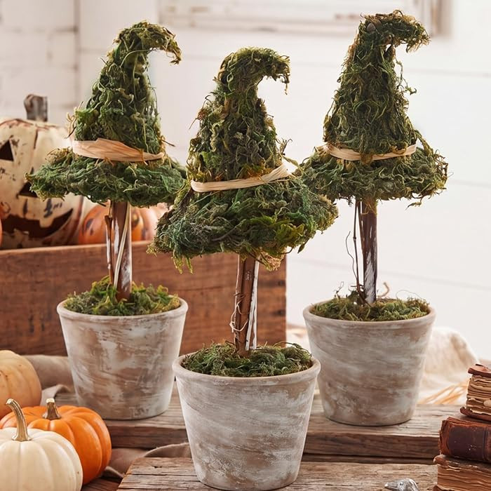 3 Pcs Halloween Witch Hat Topiary Plant with Pot Fake Small Moss Halloween Decorations Rustic Far... | Amazon (US)