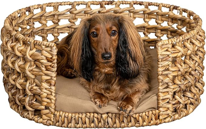 The LICKER Store DBD4000A Gigi 24" x 18" Modern Bohemian Handwoven Hyacinth Open-Weave Oval Pet B... | Amazon (US)