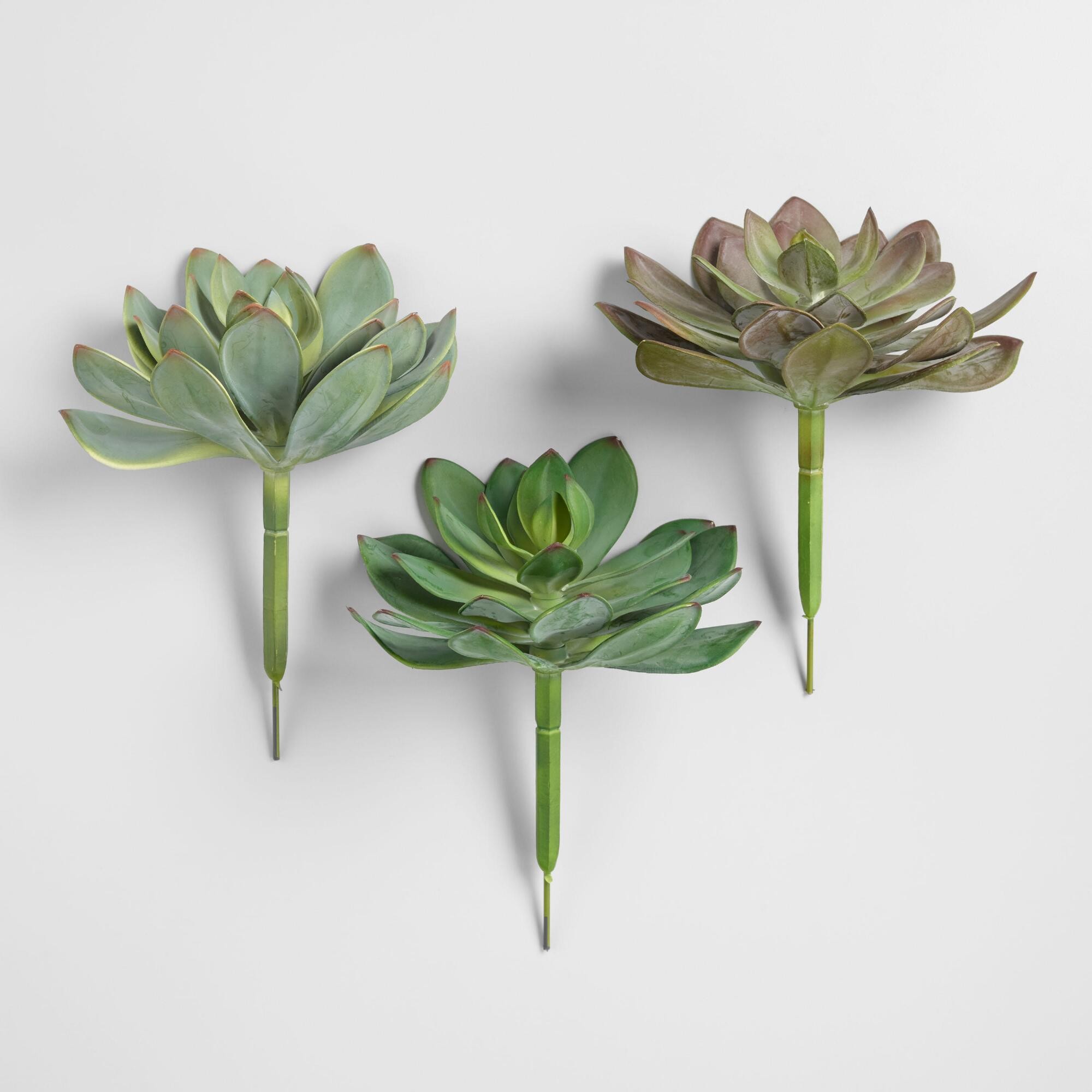 Large Faux Succulent Picks Set of 3 by World Market | World Market