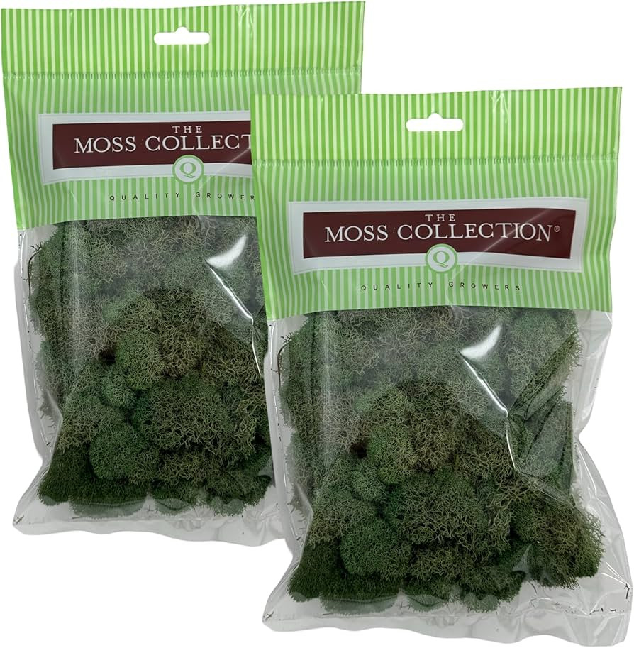 Quality Growers - Preserved Reindeer Moss - Moss for Crafts, Home Decor, Art, Design & DIY Projec... | Amazon (US)