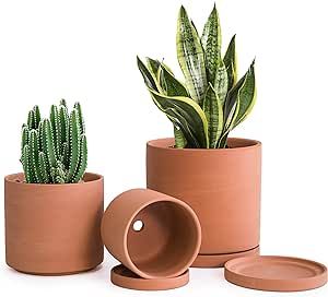 D'vine Dev Terracotta Pots, Set of 3, Clay Planters for Indoor and Outdoor Plants, Succulent Plan... | Amazon (US)