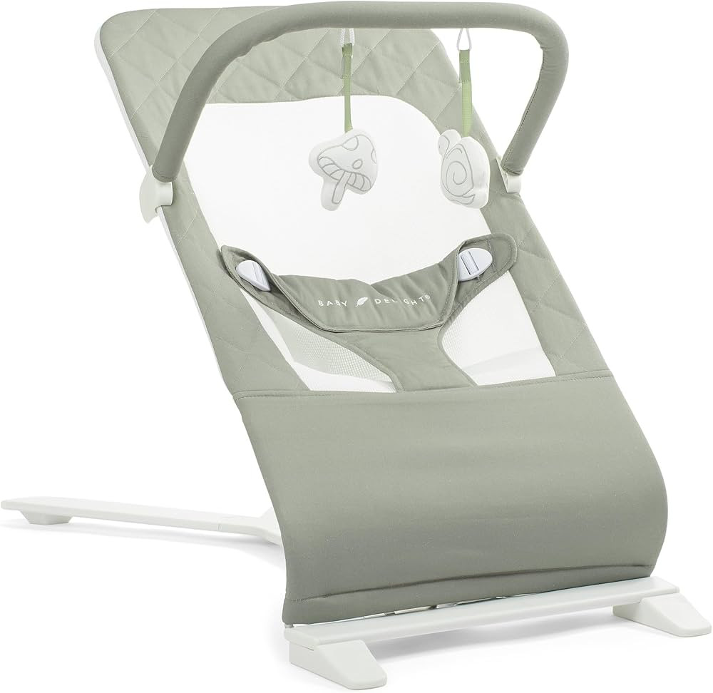 Baby Delight Alpine Deluxe Portable Baby Bouncer | Infant | 0-6 Months | 100% GOTS Certified Orga... | Amazon (US)