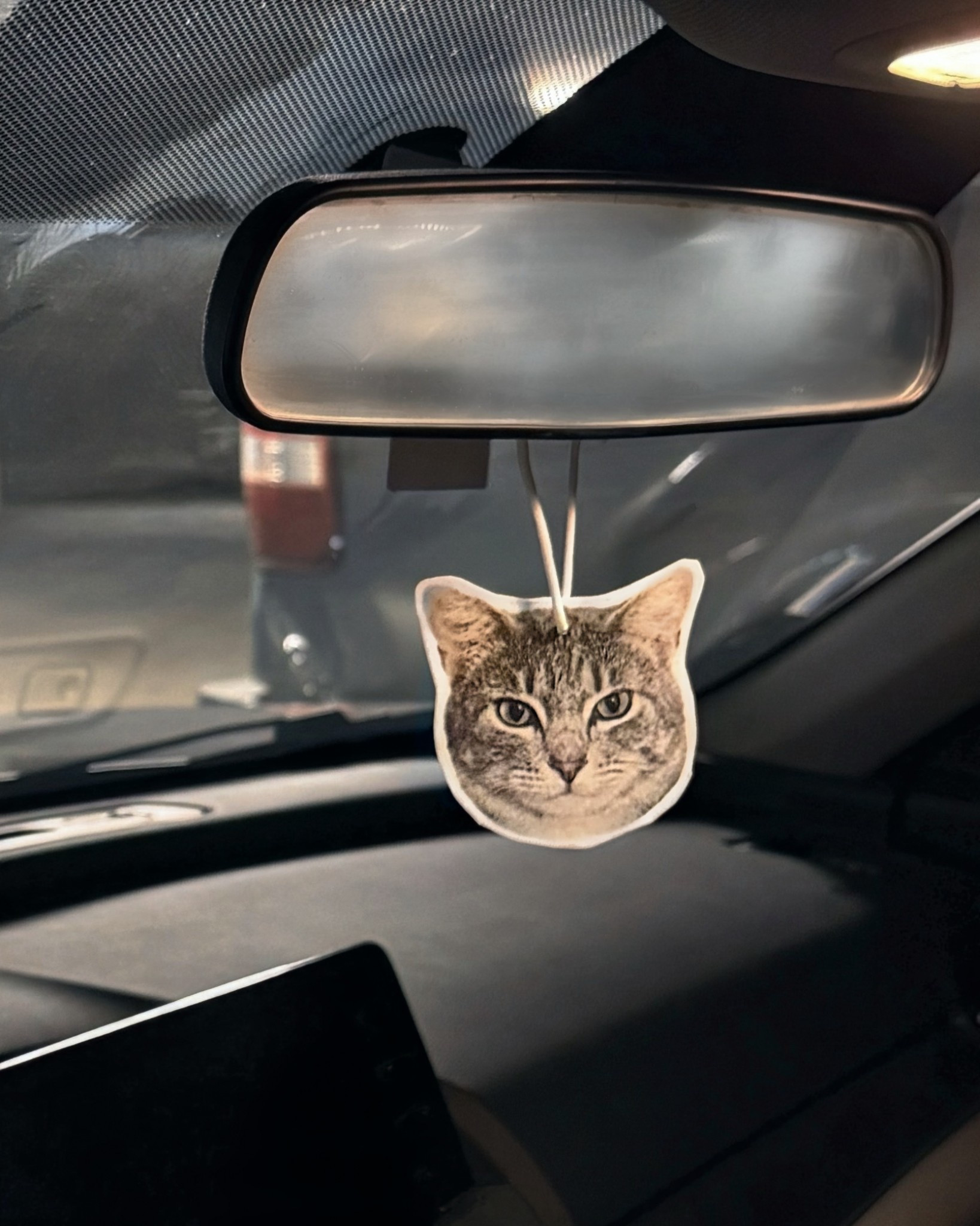 Got this funny little gift for my daughter after a friend told me abt it… it’s a die cut car freshener that can be customized w photos of kids, pets, etc (this is Oliver btw 😽) 

*Linked the exact seller from Etsy below, she was great and shipped immediately, small business

(Also linked other die cut stickers, confetti and card ideas that you can customize with your pet)

#LTKFindsUnder50 #LTKU #LTKGiftGuide