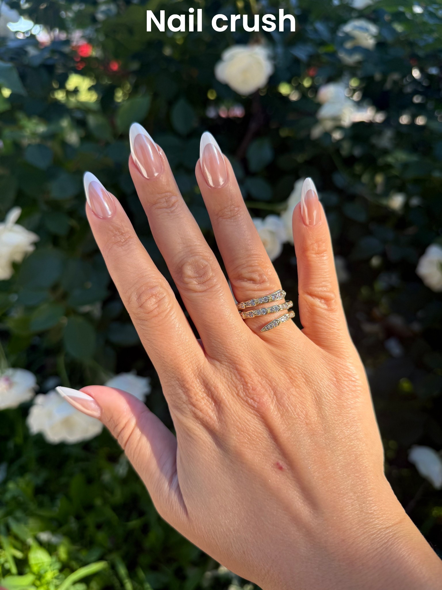 I’m loving this new set from @glamnetic so pretty & classic.

My ring is from Melinda Maria and it’s my absolute fave 🐍💍

#LTKGiftGuide #LTKBeauty #LTKHoliday