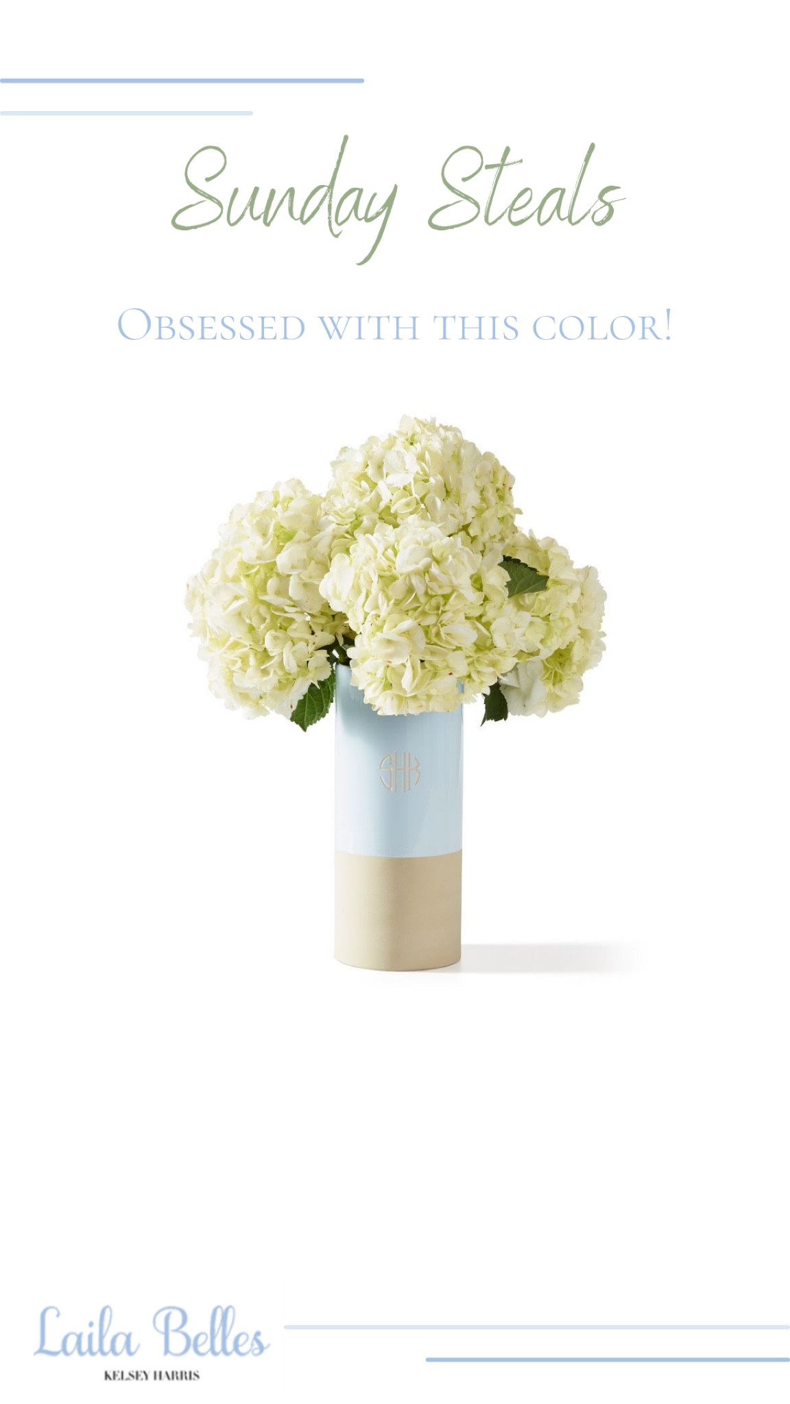 Gorgeous vase from the Mark & Graham Spring Warehouse Sale
.
.
#springfind #springflowers #grandmillenialfinds

#LTKunder50 #LTKsalealert #LTKhome