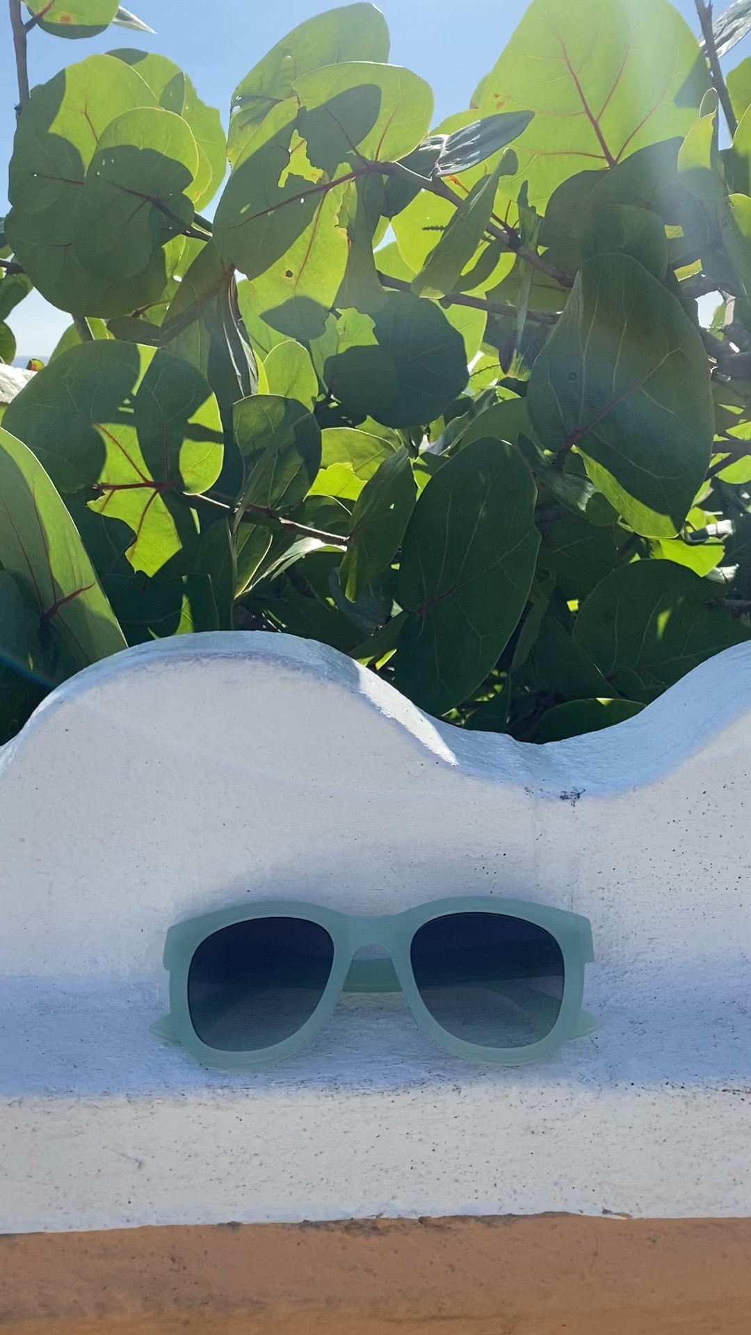 My favorite sunglasses under $20

#LTKswim #LTKsalealert #LTKfindsunder50
