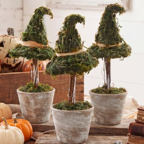 Thiccywoov 3 Pcs Halloween Witch Hat Topiary Plant with Pot Fake Small Moss Halloween Decorations Rustic Farm Witch Hat Plant Pot Tabletop Centerpiece for Home Bedroom Tiered Tray Decor Gifts 8.6inch | Amazon (US)