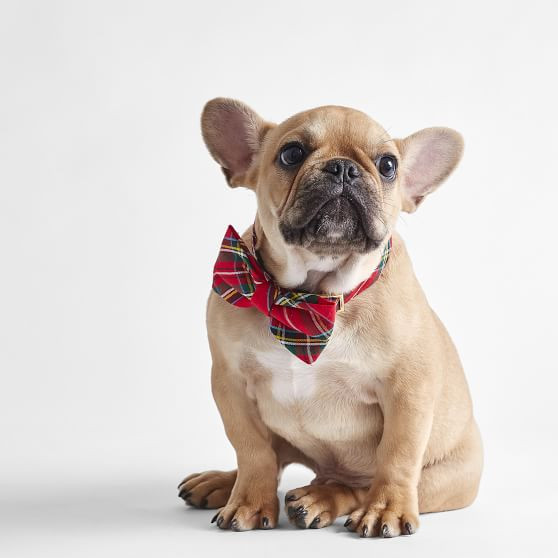 Foggy Dog Plaid Bow Tie | Mark and Graham