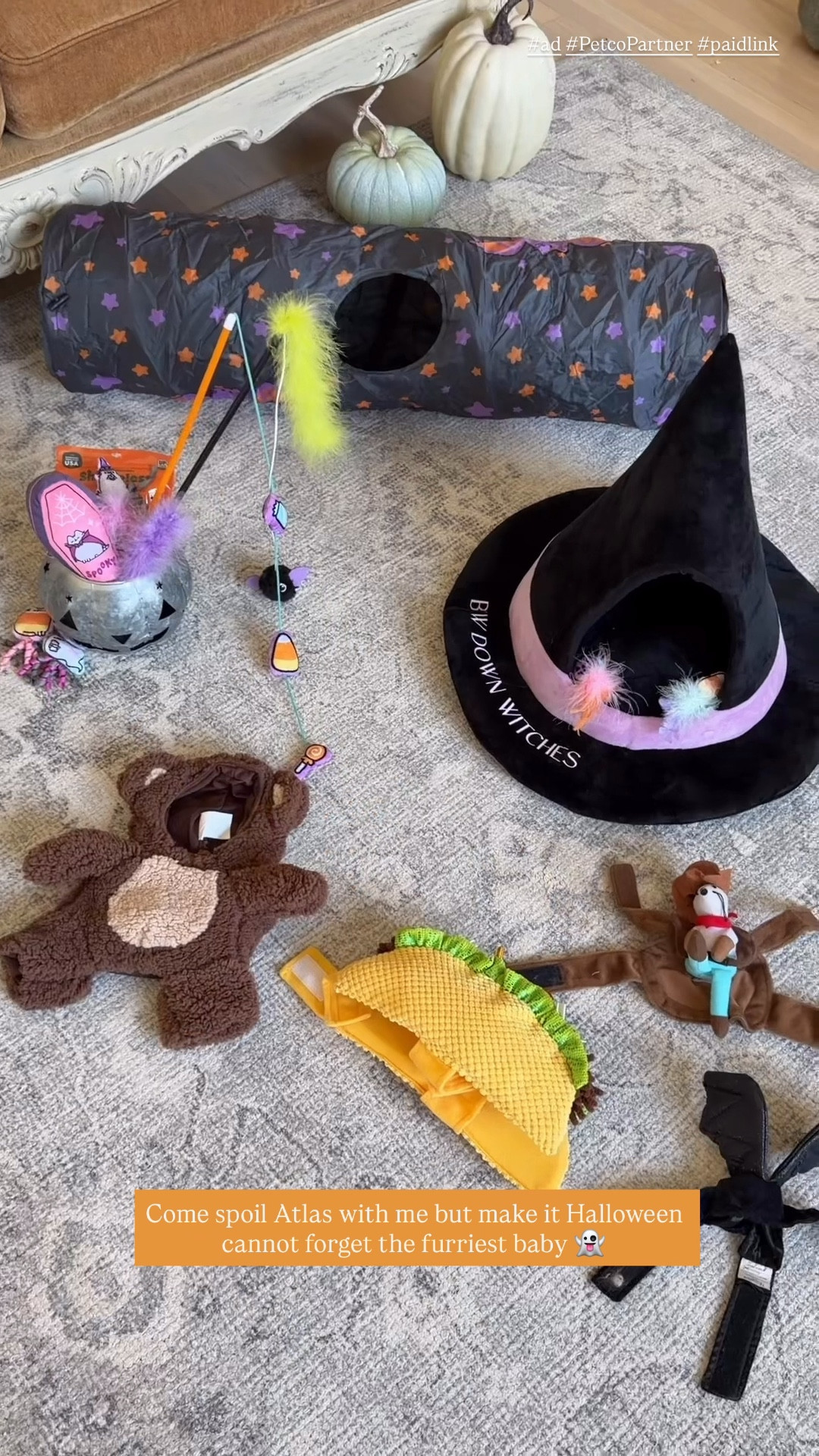 #ad #PetcoPartner #paidlink @petco
Come spoil Atlas with me but make it Halloween but can not forget the furriest baby. Toys + decor galore 


#LTKHome #LTKHalloween #LTKPets