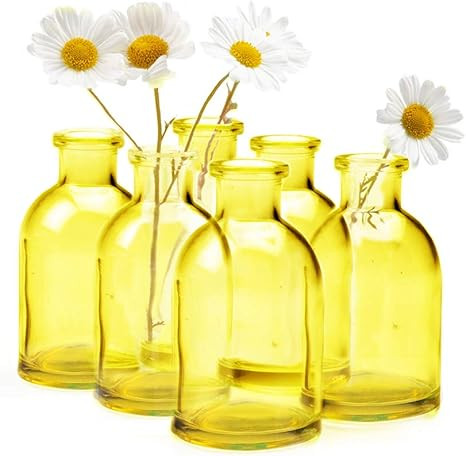 Chive - Loft, Small Glass Flower Vases, Decorative Rustic Floral Vases for Home Decor Centerpiece... | Amazon (US)