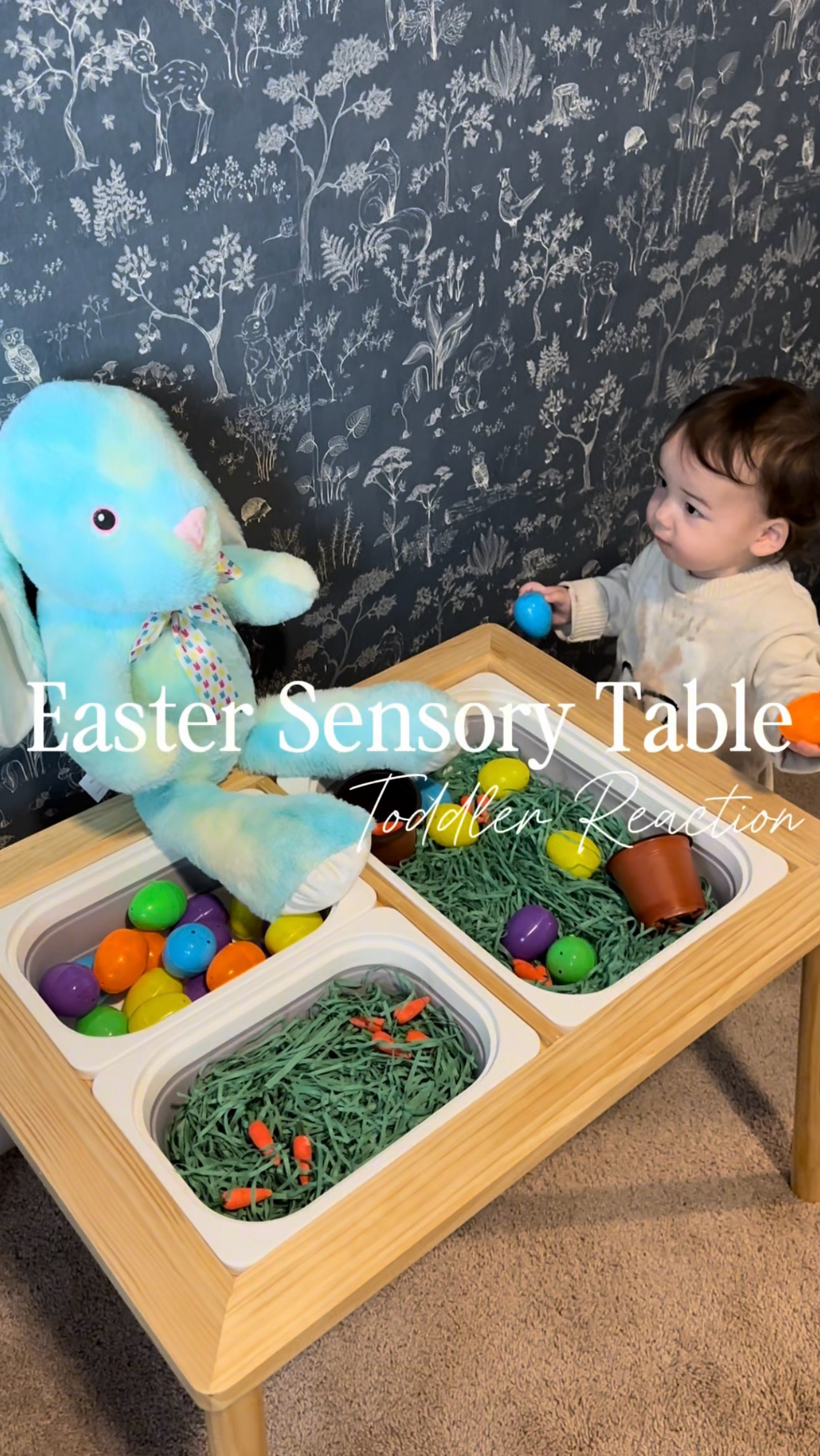 My toddler reacts to the Easter sensory table we created for him 🐰 everything we used is linked below!

#LTKSeasonal #LTKFamily #LTKKids