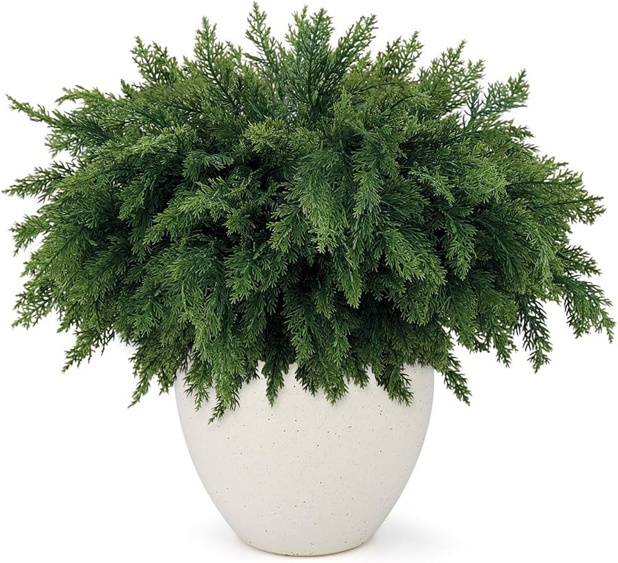 18 Inch Real Touch Cedar Branches - 12 Pcs Artificial Christmas Plants Branches, Faux Greenery Pi... | Amazon (US)