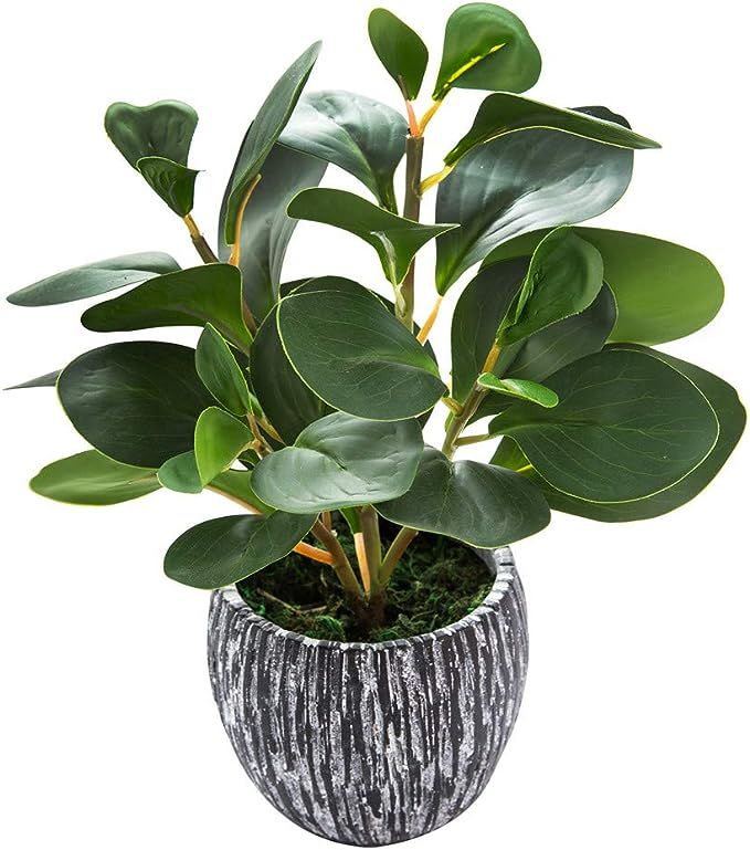 Mini Potted Artificial Plants Real Looking Plastic Fiddle Leaf Fig Plant with Rustic Black Cement... | Amazon (US)
