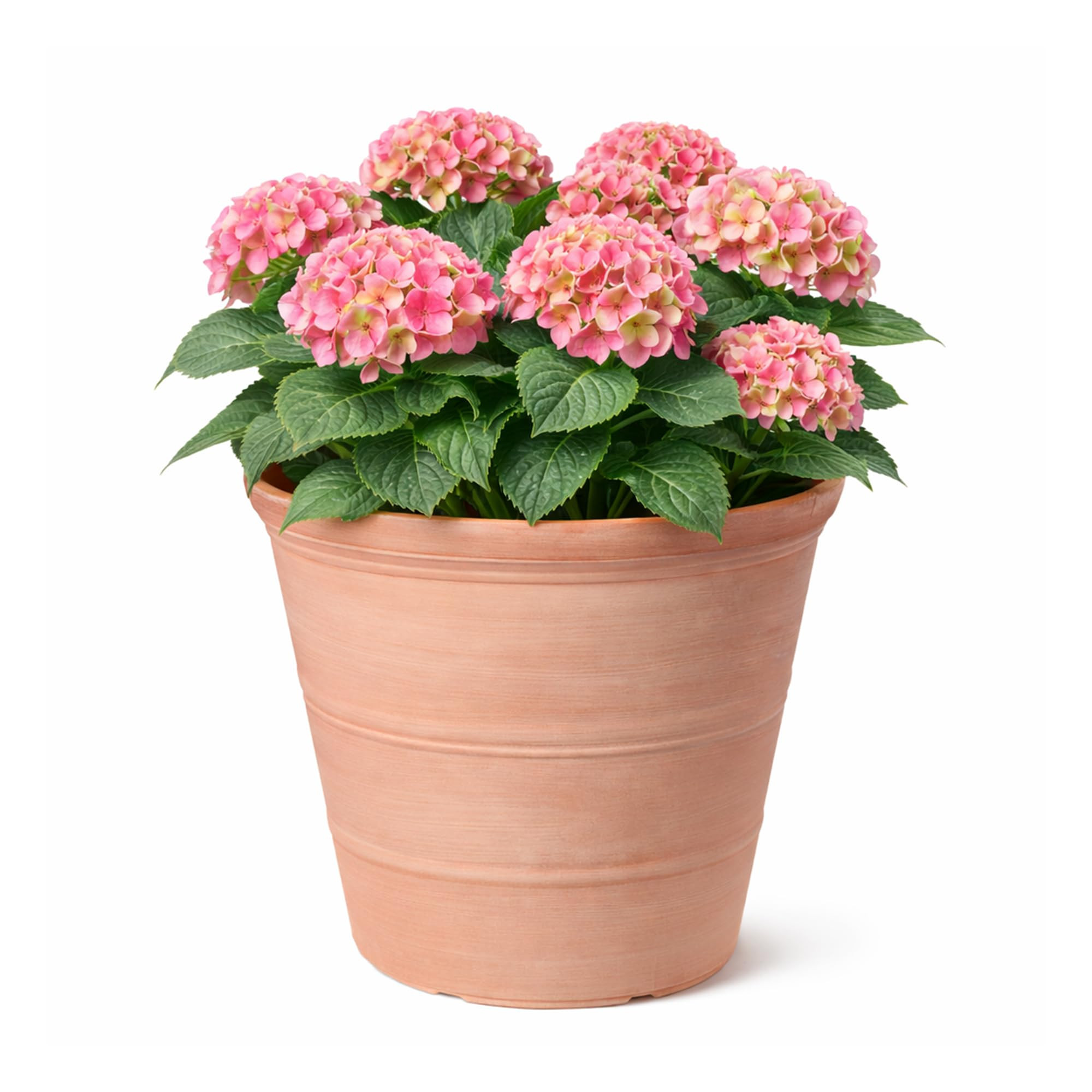 Jack Stonehouse JSH Rustic Terracotta Effect 41L Planter | 100% Recycled Plastic Classic Traditio... | Amazon (UK)
